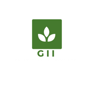 The Story of Green Impact International- How to Start Your Social Venture in a Single Step